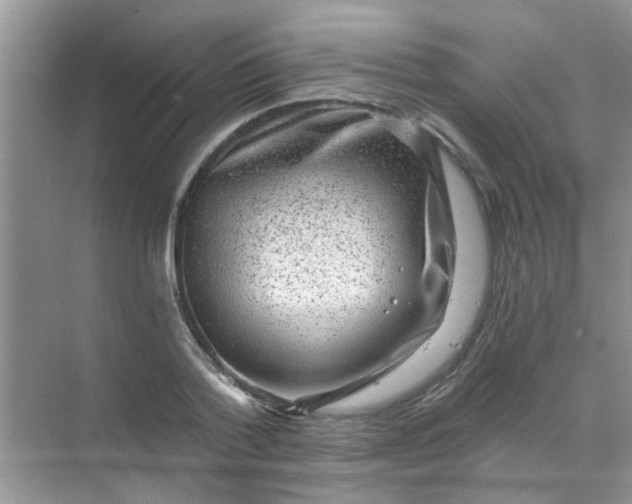 X0000070240788200606161845