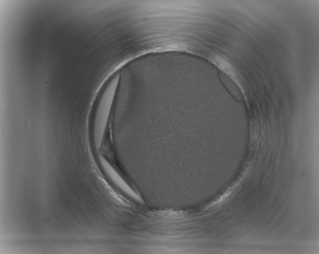 X0000070240789200606161844