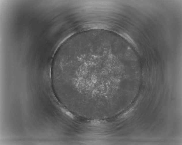 X0000070240790200606161844