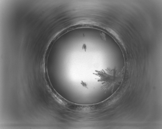 X0000070240791200606161844