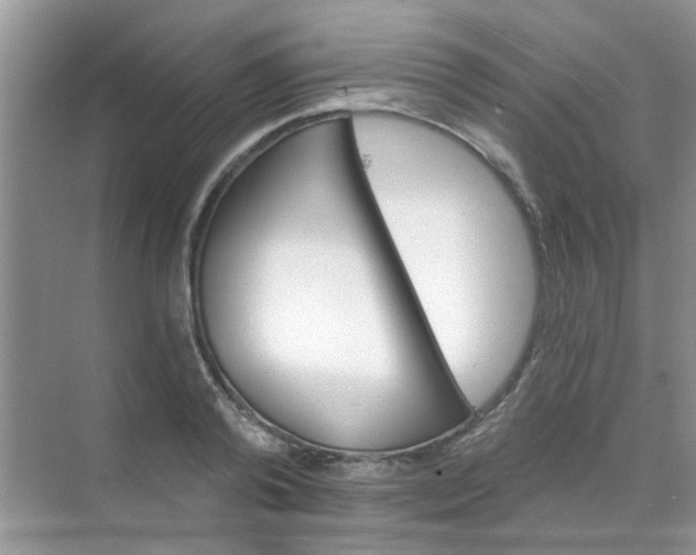 X0000070240792200606161844