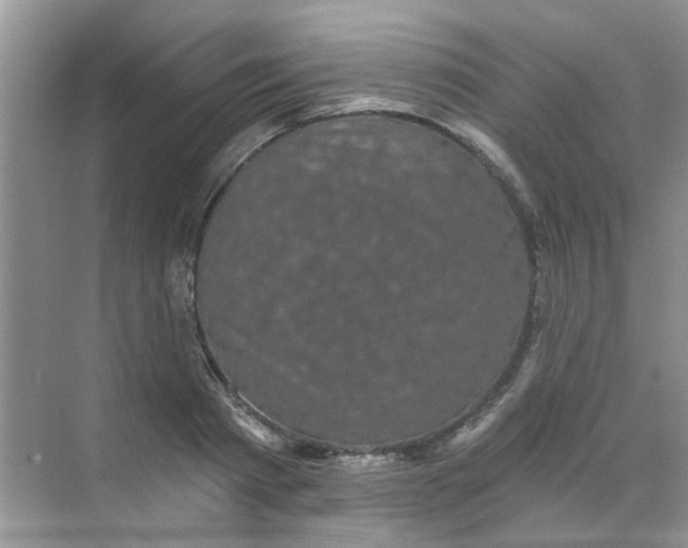 X0000070240793200606161844