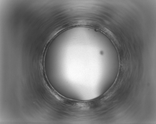 X0000070240794200606161844