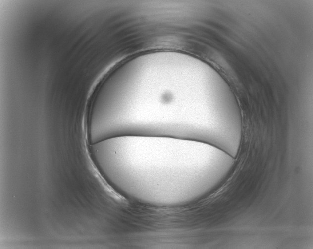 X0000070240796200606161844