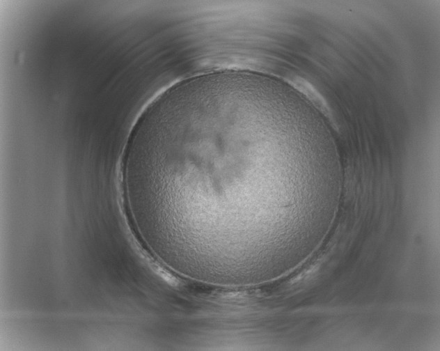 X0000070240798200606161844