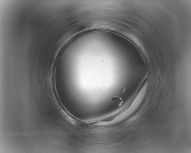 X0000070240799200606161844