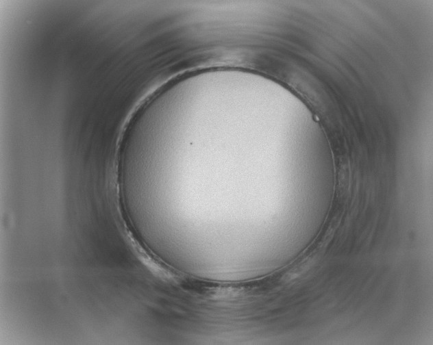 X0000070240800200606161844