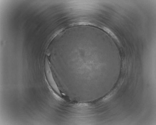 X0000070240801200606161844