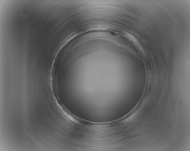 X0000070240802200606161844