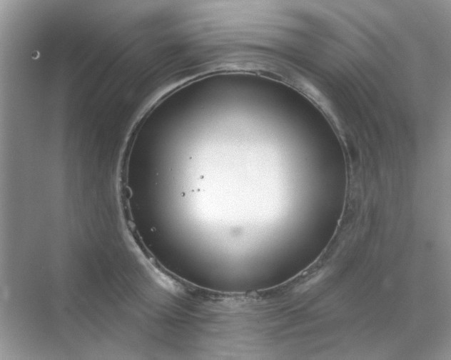 X0000070240803200606161844