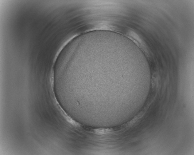 X0000070240804200606161844