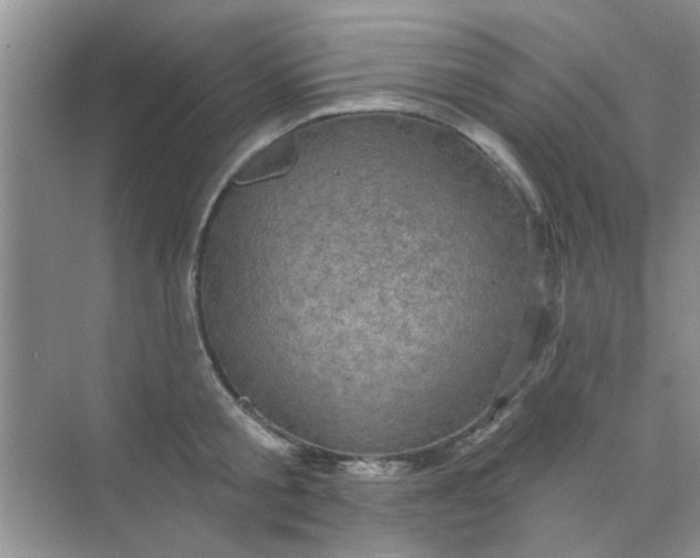 X0000070240805200606161844