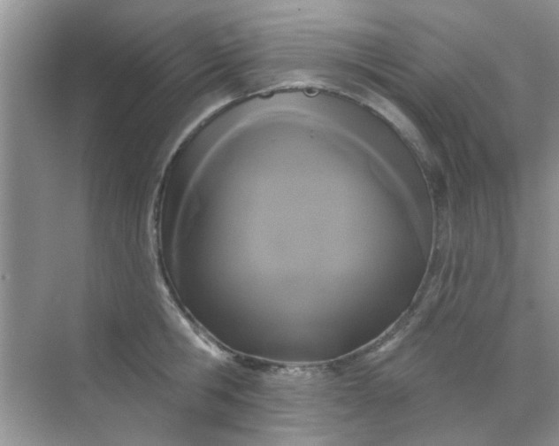 X0000070240806200606161844