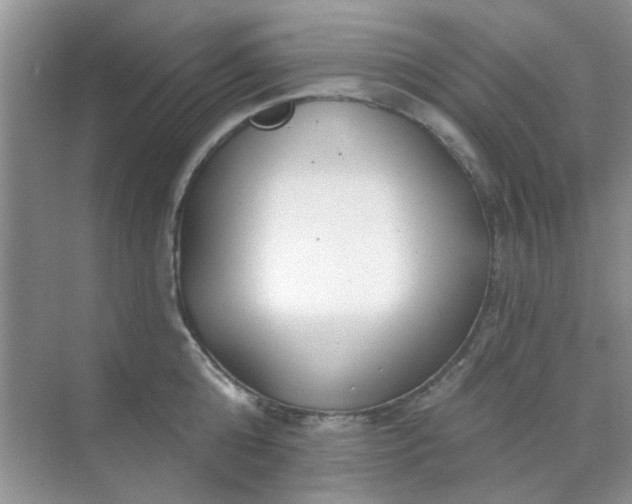 X0000070240808200606161844