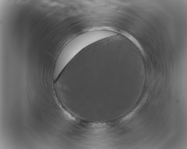 X0000070240809200606161844