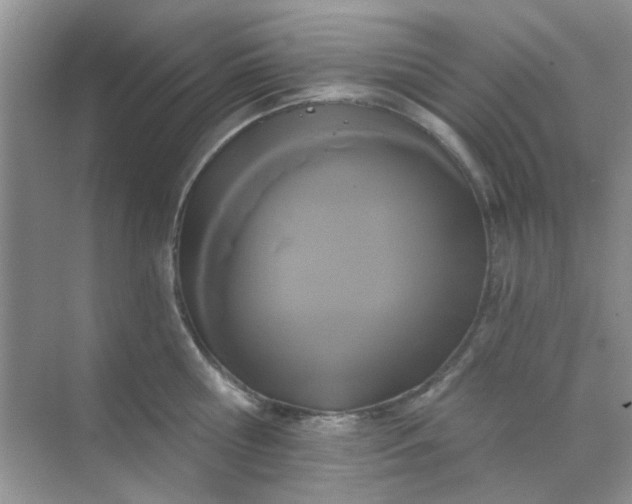 X0000070240810200606161844