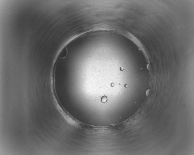 X0000070240811200606161844