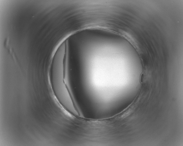 X0000070240812200606161844