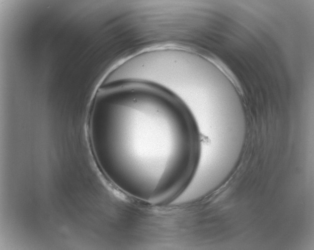 X0000070240813200606161844