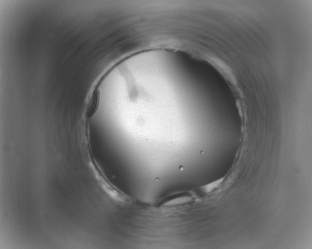 X0000070240816200606161844