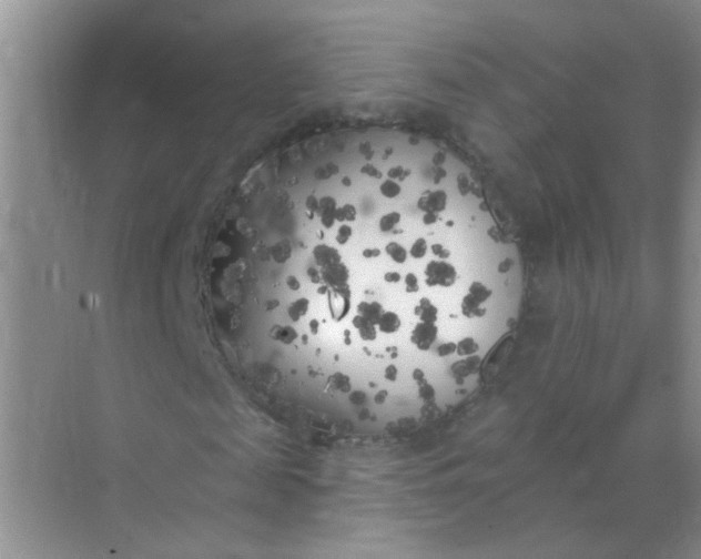 X0000070240817200606161843