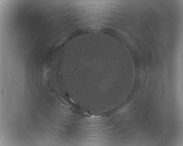 X0000070240818200606161843