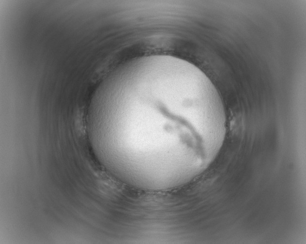 X0000070240819200606161843