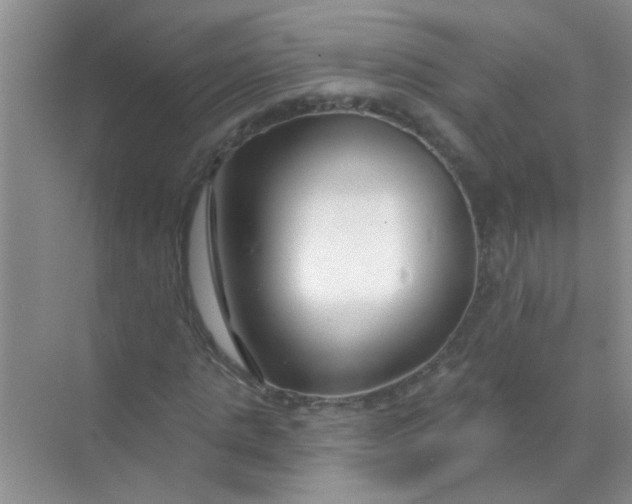 X0000070240821200606161843