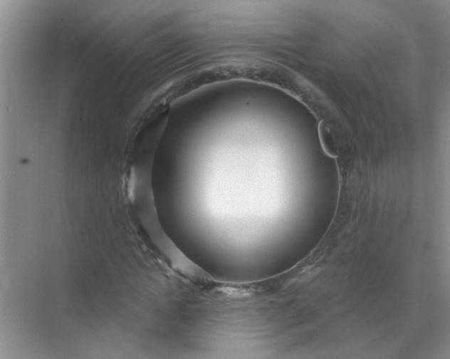 X0000070240822200606161843