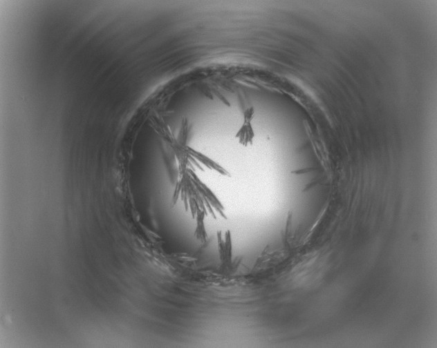 X0000070240823200606161843