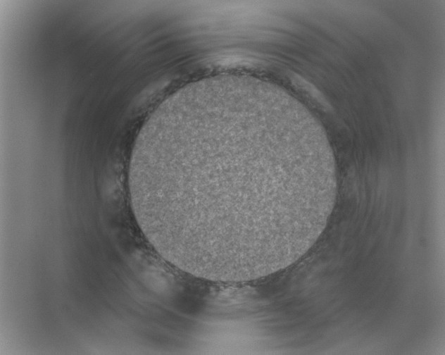 X0000070240824200606161843