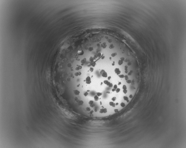 X0000070240825200606161843