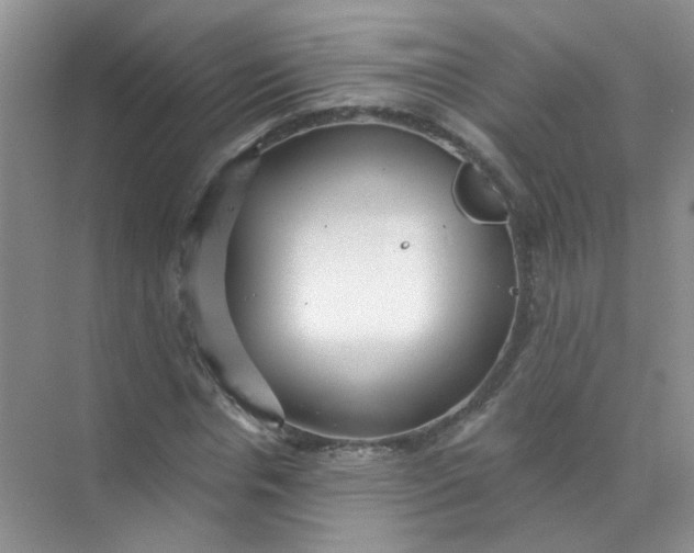 X0000070240826200606161843