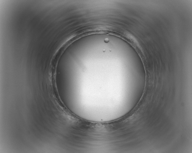 X0000070240827200606161843