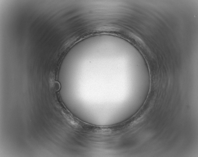 X0000070240833200606161843