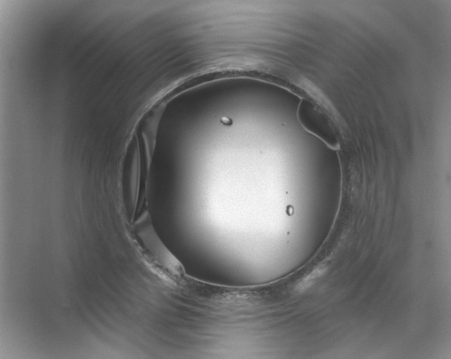 X0000070240834200606161843