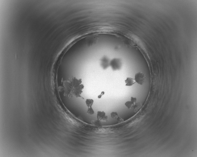 X0000070240835200606161843