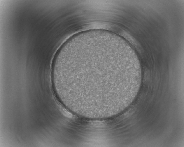 X0000070240836200606161843