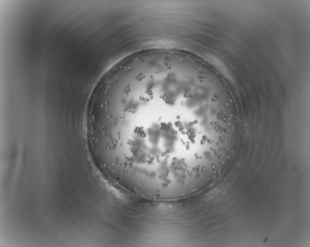 X0000070240839200606161843