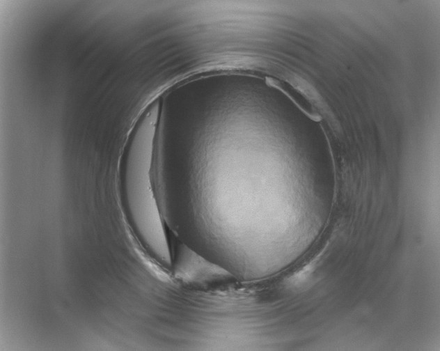 X0000070240842200606161844