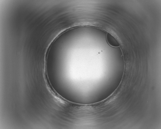 X0000070240844200606161844