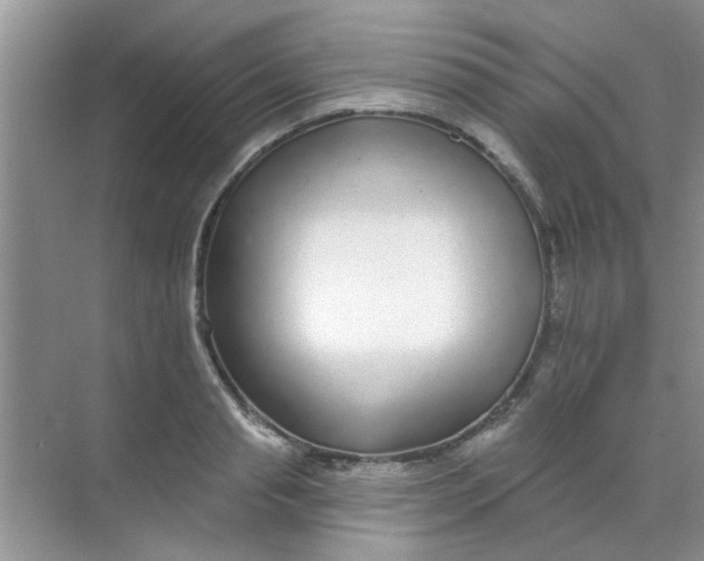 X0000070240845200606161844