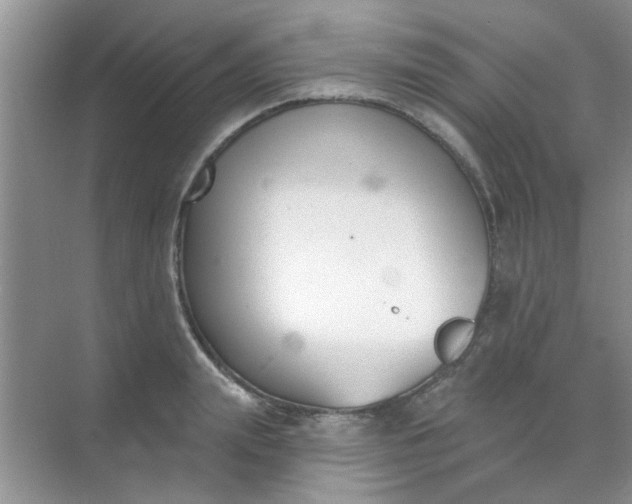 X0000070240847200606161844