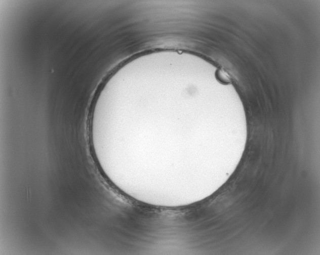 X0000070240848200606161844