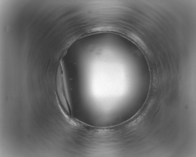 X0000070240849200606161844