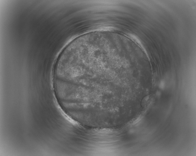 X0000070240851200606161844