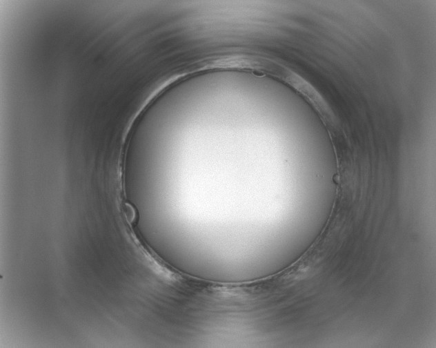 X0000070240852200606161844