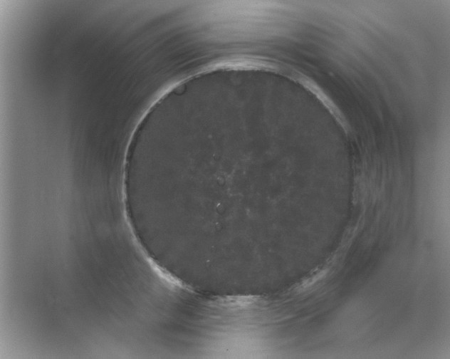 X0000070240853200606161844