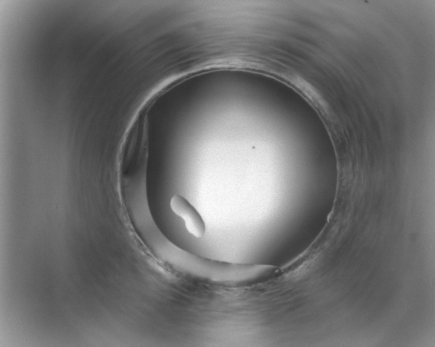 X0000070240854200606161844