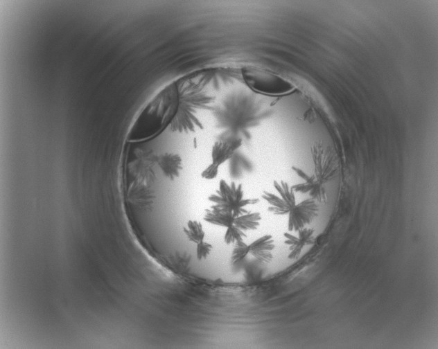 X0000070240855200606161844